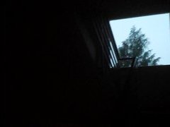 Длинна члеников свинного цепня