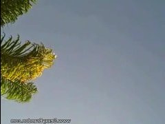 Огромные члены видео смотреть 